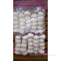 Small packing pure white Garlic